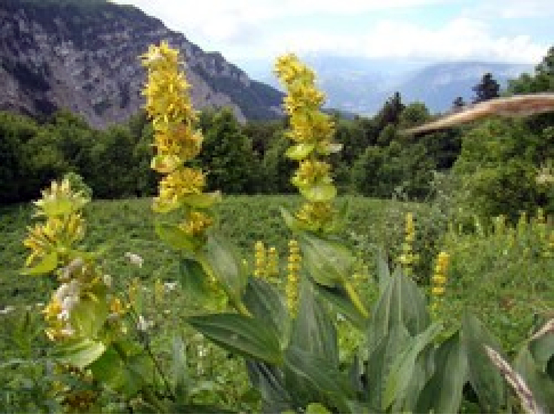 Illustration de l'actualité