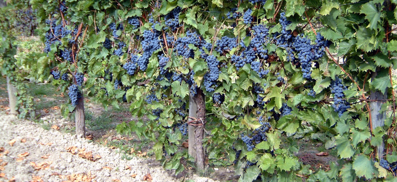 Illustration de l'actualité